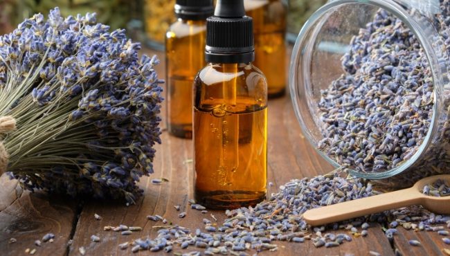 Séjour lâcher-prise, atelier plantes cosmétiques