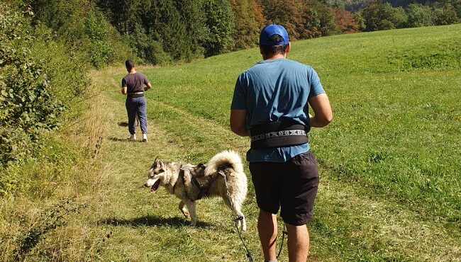 Séjour randonnée dans les Alpes du Léman, cani-rando