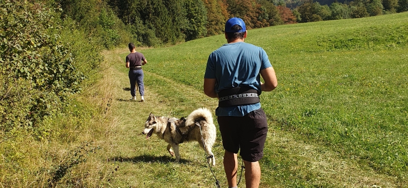 Séjour randonnée dans les Alpes du Léman, cani-rando